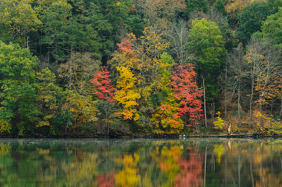 Autumn and fall foliage Lake Zoar, Southbury Connecticut