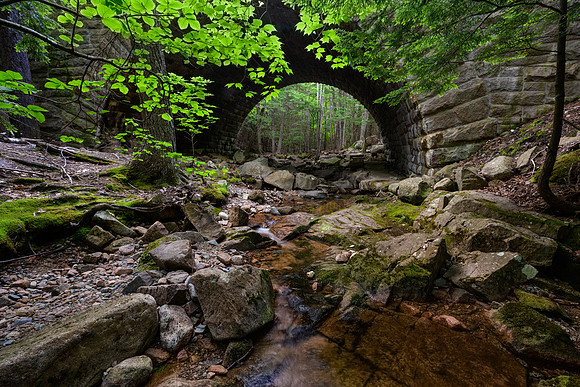 Acadia 7.08.22-282