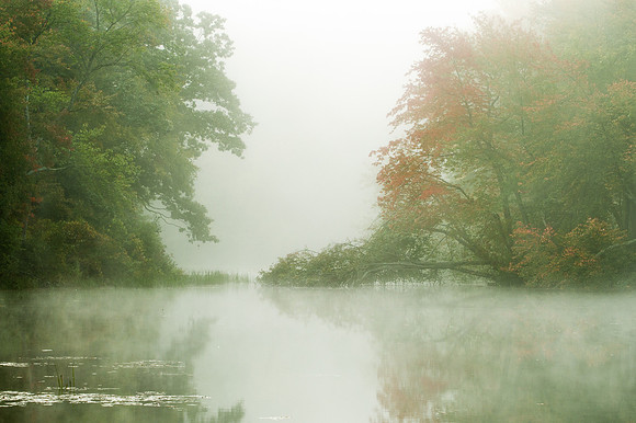 Morning mist and fall colors, Southford Falls State Park, Southbury, Connecticut