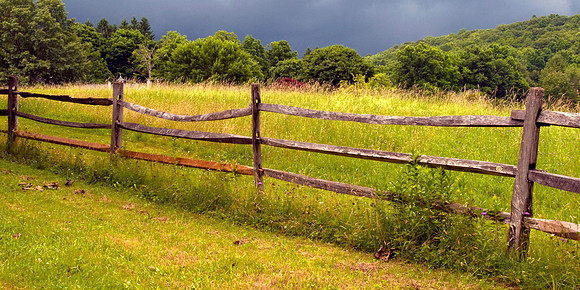 Field in Storm