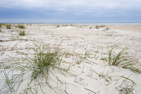 White Sand