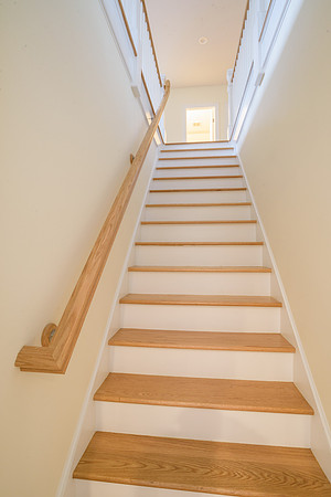 Tan 155