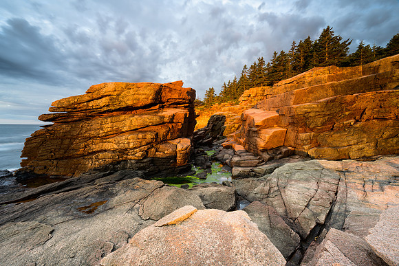 Acadia Fire