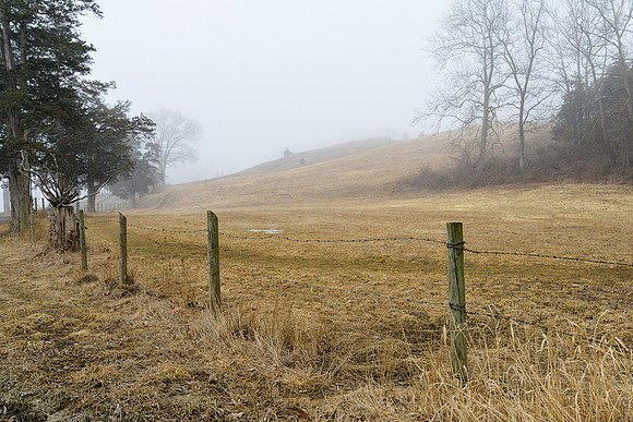 Field and Fog