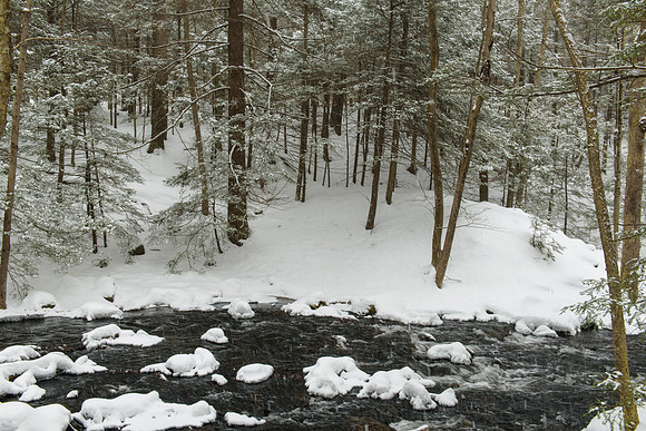 Snowy Stillness