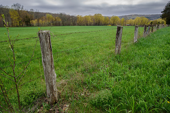 Spring Fields