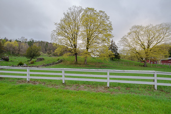 Country Life