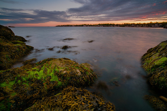 Branford Bliss