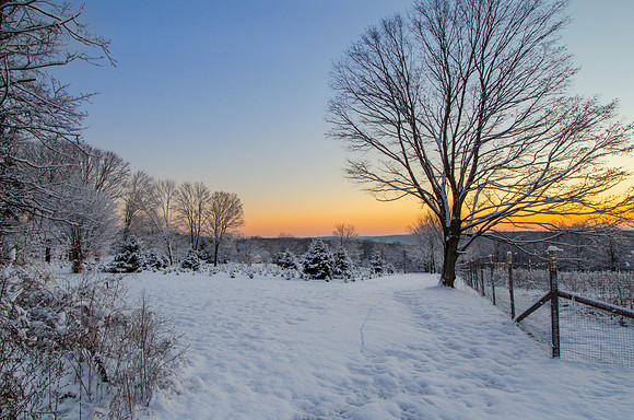 Snowy Sunrise
