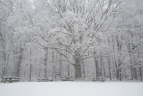 Snow covered park benches patiently waiting or spring.