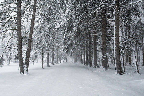 Snowy Corridor