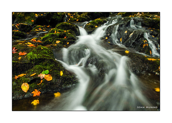 Tapistry Greeting Card