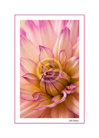 Resurrection Greeting Card