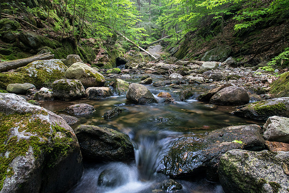 Beacon Falls 5.27.16-57-Edit