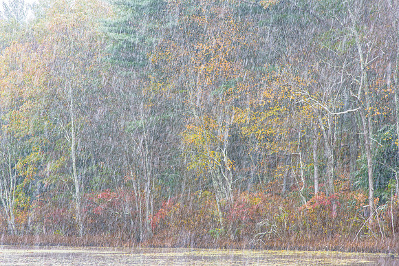 Colchester Autumn Snow