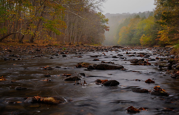 Salmon River Autumn Colors