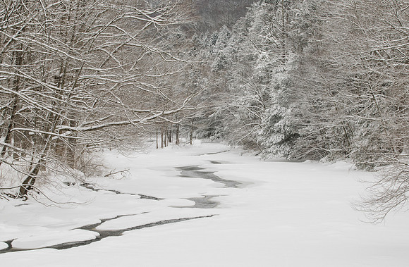 Shepaug Melody