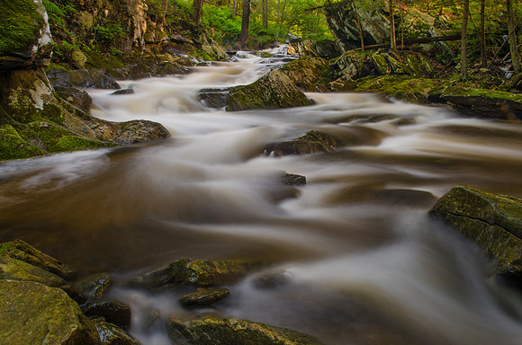 Macedonia Brook