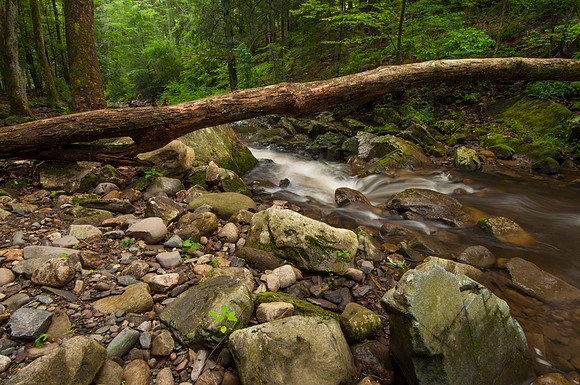 Timeless Gorge