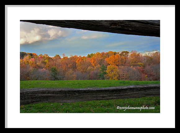 Through the Fence fine art print
