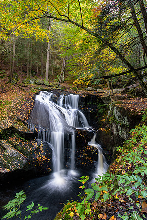 Whispering Waters