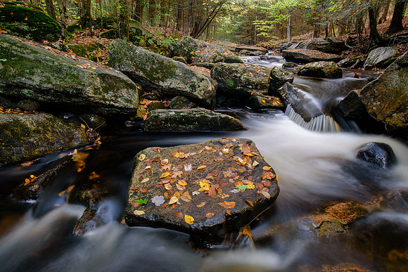 Autumn Cascades