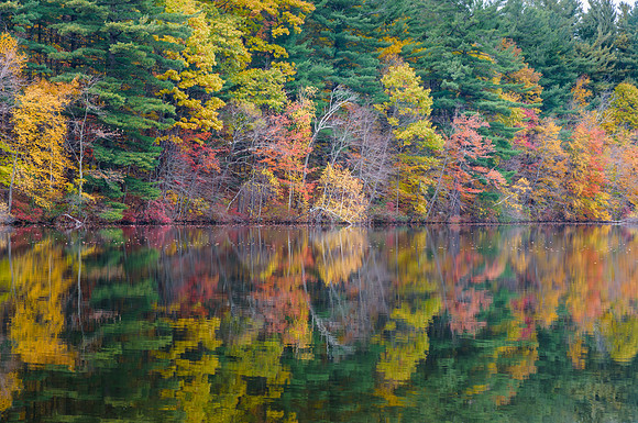 Autumn Reflections