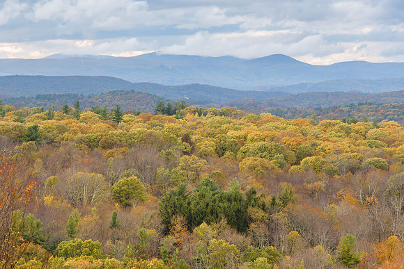 Litchfield Hills