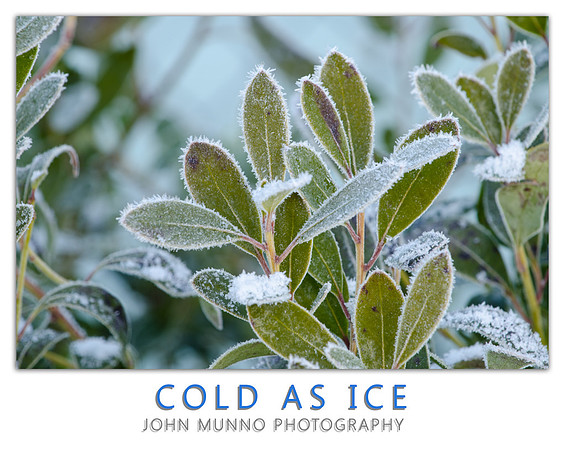 Cold as Ice