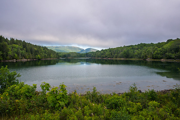 Otter Cove Morning