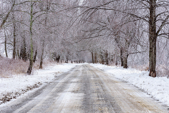 Ice Canopy