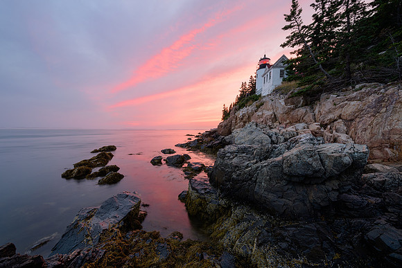 Bass Harbor Head Bliss