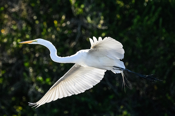 Take Off