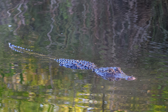 On The Move