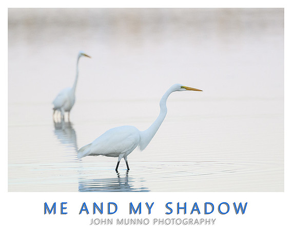Me and My Shadow-Edit copy