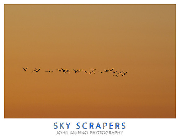 Sky Scrapers-Edit copy