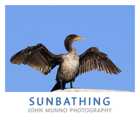 Sunbathing