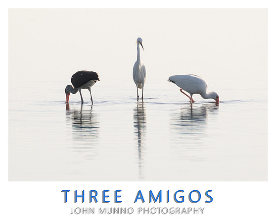 Three Amigos-Edit copy