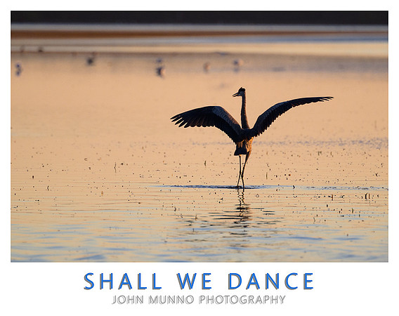 Shall We Dance copy