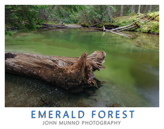 eMERALD fOREST