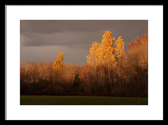 Autumn Light  jpg