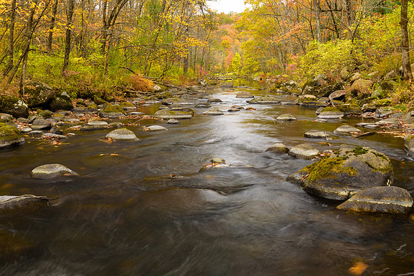 Autumn on the Shepaug