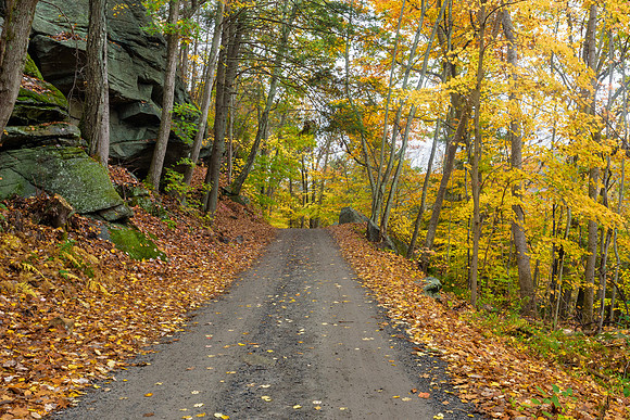 Webb Mountain Park
