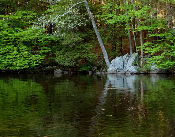 Summer lake