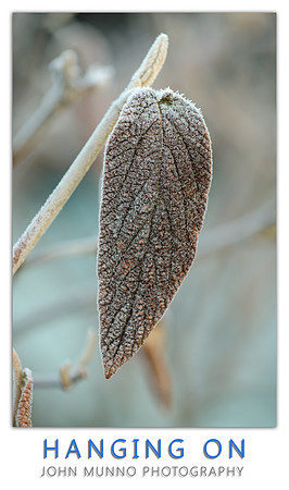 Hanging On