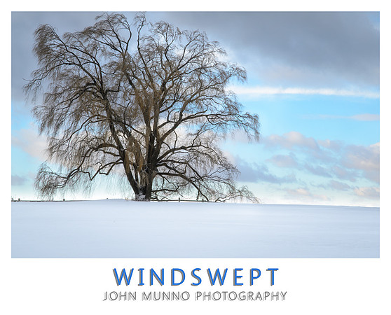 Wind Swept