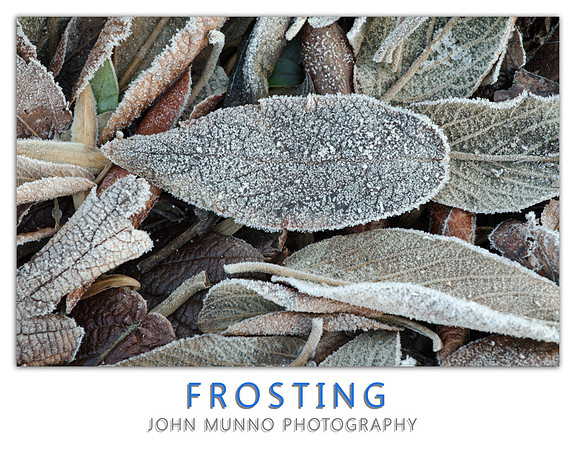 Frosting
