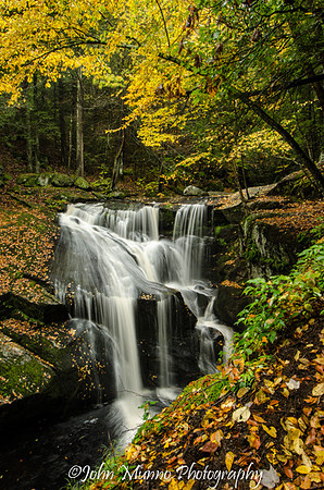 _DSC1656-Edit