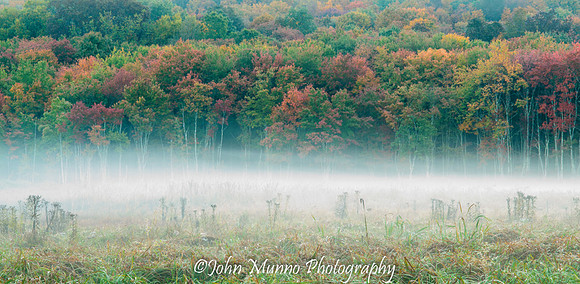 Roxbury Mist